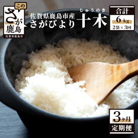 【ふるさと納税】【定期便3回】白米 6kg （1kg×2袋×3回） 肥前の国 新鮮米 十木 （じゅうのき） さがびより 定期便3カ月 令和5年産 佐賀県 鹿島産 小分けタイプ お米 九州 米 精米 国産 九州産 鹿島市 送料無料 D-135