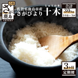 【ふるさと納税】【定期便3回】白米 30kg （1kg×10袋×3回） 肥前の国 新鮮米 十木 （じゅうのき） さがびより 定期便3カ月 令和5年産 佐賀県 鹿島産 小分けタイプ お米 九州 米 精米 国産 九州産 鹿島市 送料無料 L-36