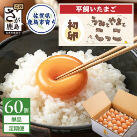 【ふるさと納税】【選べる内容量・定期便】＼初卵／平飼い卵 60個 180個 うみとやまとこっこ S・Mサイズ混合 1回/3回 | ふるさと納税 卵 たまご タマゴ 玉子 生卵 鶏卵 朝食 希少 ふるさと 産地直送 佐賀県 鹿島市 送料無料
