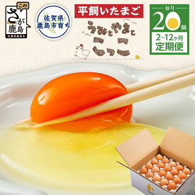【ふるさと納税】【毎月定期便】高評価★5.0 平飼い卵 20個 2〜12ヶ月 うみとやまとこっこ サイズ混合 | ふるさと納税 卵 たまご タマゴ 玉子 生卵 鶏卵 定期便 2回 3回 6回 12回 朝食 ふるさと 産地直送 佐賀県 鹿島市 送料無料