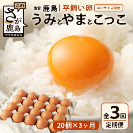 【ふるさと納税】発送月が選べる【定期便 3回】平飼い卵「うみとやまとこっこ」上田養鶏場 たまご20個 × 3ヶ月【合計60個】佐賀県鹿島産 卵 タマゴ C-112 3ヵ月