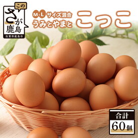 【ふるさと納税】うみとやまとこっこ 卵 60個 たまご 1箱 新鮮 鶏卵 鶏 M・Lサイズ混合 玉子 生卵 国産 九州産 佐賀県 鹿島市 送料無料 C-54