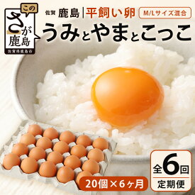 【ふるさと納税】発送月が選べる【定期便 6回】平飼い卵「うみとやまとこっこ」上田養鶏場 たまご20個 × 6ヶ月【合計120個】佐賀県鹿島産 卵 タマゴ E-129 6ヵ月