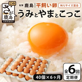 【ふるさと納税】発送月が選べる【定期便 6回】平飼い卵「うみとやまとこっこ」上田養鶏場 たまご40個 × 6ヶ月【合計240個】佐賀県鹿島産 卵 タマゴ H-28 6ヵ月