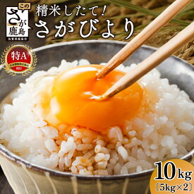 【ふるさと納税】さがびより 白米 10kg 《5kg × 2袋》令和7年産 鹿島市産 特A 獲得 | ふるさと納税 ふるさと 米 お米 新米 精米 こめ 国産 佐賀県 鹿島市 ふるさと 人気 送料無料 B-167