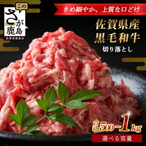 yӂ邳Ɣ[ŁzeʁEzIׂ ꌧY јa ؂藎Ƃ 500g or 500g×2iv1kgj B-862   Ă ₫ Ԃ N Nz ؂藎 ؗ ؂肨