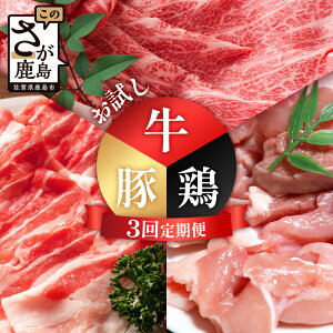 【ふるさと納税】合計3.02kg 定期便 3回 佐賀の牛・豚・鶏 お試し定期便 E-173 しゃぶしゃぶ すきやき すき焼き 焼肉 焼き肉 ソテー 焼き鳥 焼鳥 からあげ 唐揚げ から揚げ 定期便 3ヵ月 3か月 3