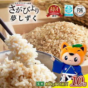 �y�ӂ邳�Ɣ[�Łz���� �}�C�X�^�[ ���I �����т�� �������� �ߘa7�N�Y ���� 5kg × 2�� �v10kg | �ӂ邳�Ɣ[�� �� ���� �V�� ���� ���Y ���ꌧ �����s �ӂ邳�� �l�C �������� B-120