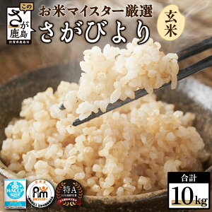 yӂ邳Ɣ[Łzy11菇zV ߘa7NY ꌧY т 10kg    Y BY ꌧ s  B-21