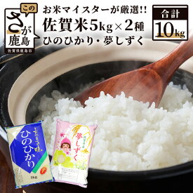 【ふるさと納税】お米 マイスター 厳選 食べ比べ 夢しずく ヒノヒカリ 令和5年産 白米 玄米 5kg × 2種 計10kg | ふるさと納税 米 お米 新米 精米 国産 佐賀県 鹿島市 ふるさと 人気 送料無料 B-398