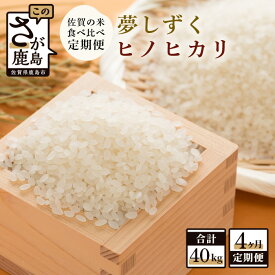 【ふるさと納税】《4か月毎月お届け》佐賀県産 夢しずく ヒノヒカリ 白米 玄米 10kg × 4回 計 40kg 食べ比べ 定期便 月1回 お米 九州 佐賀県 鹿島市 送料無料 F-46