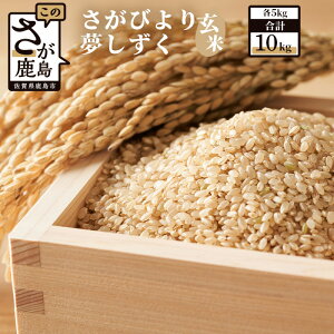 yӂ邳Ɣ[Łz }CX^[ I т  ߘa7NY  5kg × 2 v10kg | ӂ邳Ɣ[   V  Y ꌧ s ӂ邳 lC  B-120