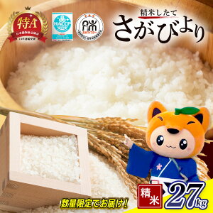 yӂ邳Ɣ[Łzyߘa7NY ꌧY тb 27kgi30kǧĂ𐸕Ăd) z ă}CX^[ZNgI|  B  Y BY s  E-73