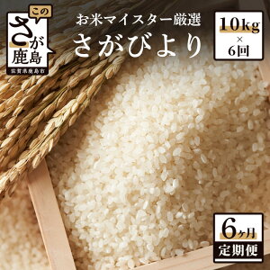yӂ邳Ɣ[Łz11Jn VāyցzꌧY т   10kg × 6 v60kg s6A ͂t | ӂ邳Ɣ[    V  Y ꌧ s ӂ邳 