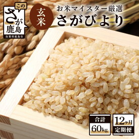 【ふるさと納税】【12ヶ月定期便】鹿島市産 さがびより 玄米 5kg×12回 定期便 12か月 合計60kg 合計12回発送 お米 九州 米 国産 九州産 佐賀県 鹿島市 送料無料 K-5