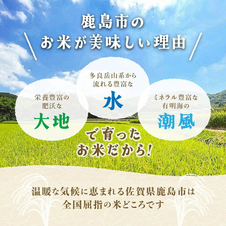 楽天市場】【ふるさと納税】【11月より順次発送】令和7年産 佐賀県産 
