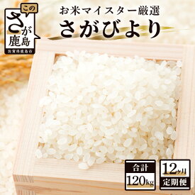 【ふるさと納税】【12ヶ月定期便】鹿島市産 さがびより 白米 10kg×12回 定期便 12か月 合計120kg 合計12回発送 お米 米 精米 国産 佐賀 九州産 佐賀県 鹿島市 送料無料 S-1