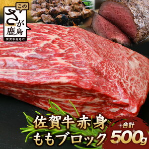 yӂ邳Ɣ[ŁzyIׂzꋍ Ԑg  ubN 500g [Xgr[t ꌧY  ubN ꌧ s    uh   NX}X  