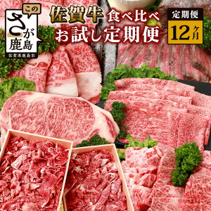 yӂ邳Ɣ[Łzy12zꋍ Hה  XCX [X T[CXe[L ؂藎 [Xgr[t ē TCRXe[L ubN V-45