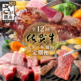 【ふるさと納税】【定期便12回】高級肉 佐賀牛 ステーキ・焼肉 定期便 サーロイン 焼肉 焼き肉 ステーキ ブランド牛 和牛 佐賀県 鹿島市 満足 ご褒美 美味しい 人気 オススメ イチオシ 送料無料V-47