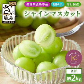 【ふるさと納税】朝採れ即日発送◆数量限定◆シャインマスカット 約2kg 3〜4房【先行予約】【2025年8月中旬〜9月下旬配送予定】鮮度第一 可愛いラッピングで贈り物にも◎ ご褒美 プレゼント 贈答 ギフト 果物 葡萄 ぶどう マスカット 野菜 佐賀 鹿島市 人気 送料無料 C-38