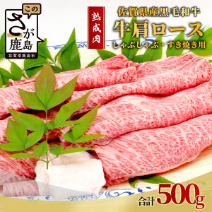 yӂ邳Ɣ[Łzn ꌧY јa  [X Ԃ ₫p 500g a    ꌧ s Ⓚ  E-50