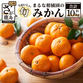 【ふるさと納税】【先行予約】【数量限定】鹿島 まるな柑橘園 みかん 約10kg サイズ混合 ミカン 蜜柑 S〜2Lサイズ 佐賀県 鹿島市 B-177【9月下旬出荷開始予定】
