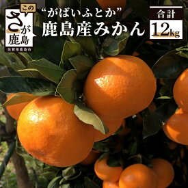 【ふるさと納税】 ”がばいふとか”鹿島産みかん 約12kg 大サイズ 2Lサイズ （7cm以上） ご家庭用 傷アリ みかん 蜜柑 ミカン フルーツ 果物 佐賀県 鹿島市 送料無料 【2026年1月下旬頃まで配送予定】 A-88