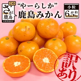 【ふるさと納税】【訳あり】★4.5 やーらしか 鹿島産みかん 小玉 6.5kg | 数量限定 小粒サイズ 訳あり ふるさと納税 みかん 小玉 5kg ミカン 蜜柑 果物 フルーツ 温州みかん 規格外 家庭用 旬 国産 生産者直送 国産 九州 ふるさと 佐賀県 鹿島市 送料無料 AA-6