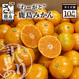 【ふるさと納税】【先行予約】（2026年11月上旬～発送）”わーがと”鹿島産がばい訳アリみかん 約10kg【大中小サイズ別】or【サイズ混合】【期日指定不可】 | ふるさと納税 みかん 蜜柑 柑橘 果物 フルーツ 果実 国産 佐賀県 鹿島市 ふるさと 人気 送料無料 A-90