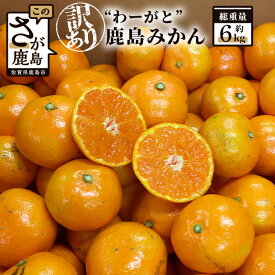 【ふるさと納税】【先行予約】（2026年11月上旬～発送）”わーがと”鹿島産がばい訳アリみかん 約6kg【サイズ別】【期日指定不可】国産 佐賀県産 ミカン 蜜柑 果物 フルーツ AA-39