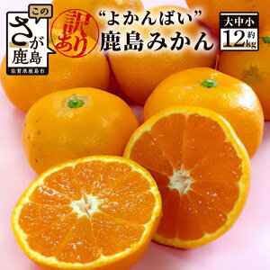 yӂ邳Ɣ[Łzy󂠂z悩΂ Y ݂ 12kg 咆 TCY s11{`z\t| ӂ邳Ɣ[ ݂ 10kg ȏ ƒp KiO  k ʕ t[c ʎ Y 