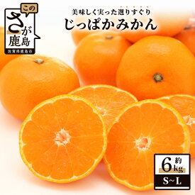 【ふるさと納税】【先行予約】（2026年12月頃発送）じっぱか 鹿島産 みかん 6kg 大中小【大中小サイズ別】【期日指定不可】 | ふるさと納税 みかん 蜜柑 柑橘 果物 フルーツ 果実 国産 佐賀県 鹿島市 ふるさと 人気 送料無料 A-99