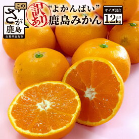 【ふるさと納税】数量限定『よかんばい』 鹿島産 みかん【大中小サイズ混合 |約12kg】 訳アリ 傷アリ ミカン 果物 フルーツ 佐賀県 鹿島市 送料無料 【11月中旬から配送予定】 B-374
