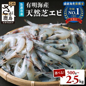 【ふるさと納税】国産天然海老★4.7以上 有明海産 天然 芝エビ 選べる容量 冷凍 500g 〜 2.5kg 生食OK レシピ集付き | ふるさと納税 えび 海老 芝海老 真エビ 冷凍えび 国産 海鮮 魚介類 刺身 大容量 高評価 おすすめ 佐賀県 鹿島市 ふるさと 人気 送料無料 B-357