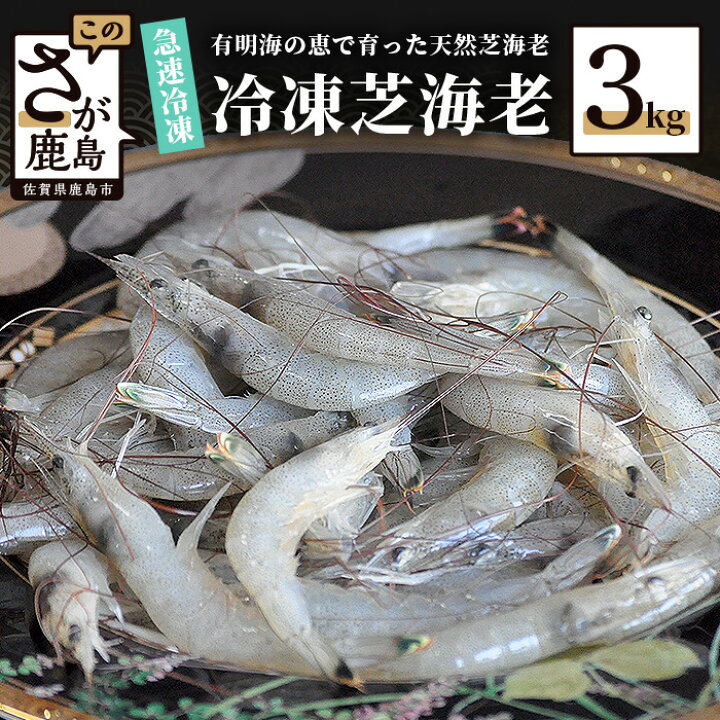 楽天市場 ふるさと納税 予約受付 芝エビ 真エビ 3kg 有明海産 急速冷凍 活き締め 芝海老 えび 海老 佐賀県 鹿島市 佐賀 グルメ 国産 九州 送料無料 22年11月末頃から順次発送 B 357 佐賀県鹿島市