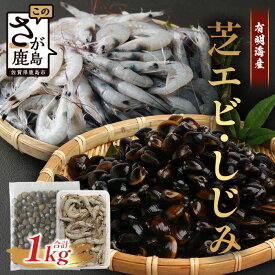 【ふるさと納税】【緊急支援品】《出荷最盛期》冷凍 芝エビ (500g) シジミ (500g) セット 合計1kg 真エビ 急速冷凍 活き締め 芝海老 えび 海老 しじみ 砂抜き済 魚貝類 海鮮 貝 佐賀県 鹿島市 国産 詰め合わせ 送料無料 AA-19