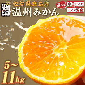 【ふるさと納税】2026年先行予約 ★4.67 温州みかん 約5~11kg 小玉 / サイズ混合 《11月上旬～12月中旬頃発送予定》 | ふるさと納税 みかん 5kg 10kg 少量 大容量 フルーツ 甘い 果物 蜜柑 お取り寄せ 農家直送 国産 九州 佐賀県 鹿島市 ふるさと 人気 送料無料 B-279