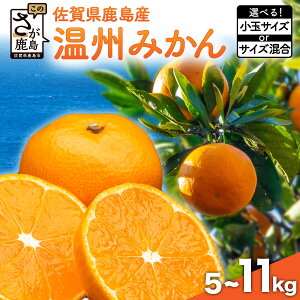 yӂ邳Ɣ[Łzy2025Ns\z4.7 B݂ 5~11kg  / TCY r[Ly[ | ӂ邳Ɣ[ ݂ ~J ʕ t[c   Mtg Y ꌧ
