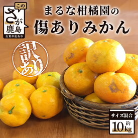 【ふるさと納税】【訳アリ】【先行予約】【数量限定】 まるな柑橘園の 傷アリ みかん 約10kg サイズ混合 訳あり ミカン 蜜柑 佐賀県 鹿島市産 果物 フルーツ オレンジ 大量 大小混合 家庭用 自宅用 送料無料 【2025年9月下旬から配送予定】 B-455