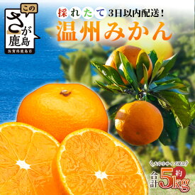 【ふるさと納税】先行受付 採れたて 温州みかん 約5kg《収穫後3日以内発送》農家直送 | 10月下旬頃から発送予定 ふるさと納税 みかん 5kg ミカン 蜜柑 フレッシュ 柑橘 果物 フルーツ くだもの 果実 お取り寄せ ふるさと おすすめ 九州 佐賀県 鹿島市 人気 送料無料 B-530