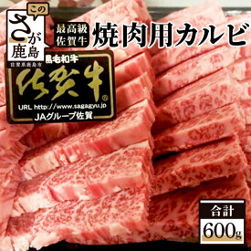 【ふるさと納税】最高級 ブランド牛 佐賀牛 カルビ 焼肉用 600g | ふるさと納税 佐賀牛 ブランド牛 牛肉 国産 牛 焼肉 焼き肉 カルビ 佐賀県 鹿島市 ふるさと 人気 送料無料 D-61