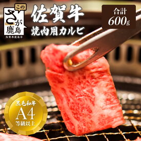 【ふるさと納税】最高級 ブランド牛 佐賀牛 カルビ 焼肉用 600g | ふるさと納税 佐賀牛 ブランド牛 牛肉 国産 牛 焼肉 焼き肉 カルビ 佐賀県 鹿島市 ふるさと 人気 送料無料 D-61