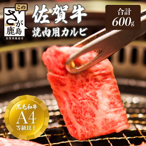 yӂ邳Ɣ[Łzꋍ A4 Jr ēp 600g | ӂ邳Ɣ[ ꋍ uh  јa Y  ē Ă  ȒP Jr BBQ Y ꌧ s ӂ邳 lC  D-