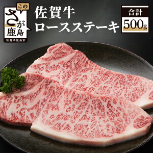 yӂ邳Ɣ[Łz ꋍ [XXe[L 250g×2 v500g a   ꌧ s Ⓚ  Ε i v[g hV̓ ̓ ̓ J   lC 