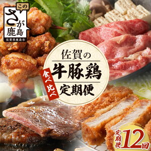 yӂ邳Ɣ[Łzy12źuE؁E{vHה  12 12 ꋍ 肽{ ꌧYؓ Ă ē Ԃ Xe[L oGeB P-9 u BBQ Lv 