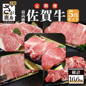 【ふるさと納税】【初回は1月スタート】【定期便】最高級 ブランド牛 佐賀牛 尽くし 5点 セット 年4回発送 総計16.6kg | ふるさと納税 佐賀牛 定期 ステーキ ブランド牛 牛肉 国産 牛 ヒレ サー