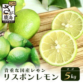 【ふるさと納税】リスボンレモン【約5kg】メディアも注目の柑橘類の名人直送！レモン れもん 檸檬 果物 生搾り 料理 菓子 サワー お酒 国産 佐賀県鹿島市産 人気 送料無料 B-367