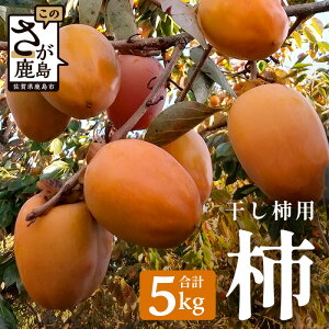 yӂ邳Ɣ[Łz`y`pz5kgi30Oja` | ӂ邳Ɣ[ ` ʕ t[c ʎ Y ꌧ s ӂ邳 ` a`   B-793