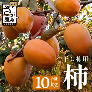 yӂ邳Ɣ[Łz`y`pz10kgi70Oja` | ӂ邳Ɣ[ ` ʕ t[c ʎ Y ꌧ s ӂ邳 ` ݂邵` a`   B-794